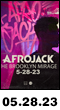 05.28.23: Afrojack at the Brooklyn Mirage